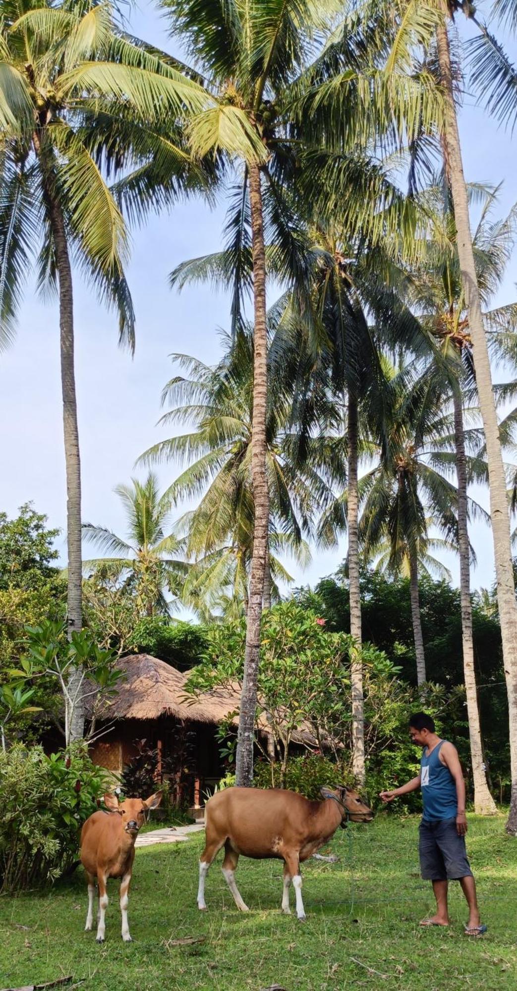 Lendang Eco Lodge Senggigi Exterior foto