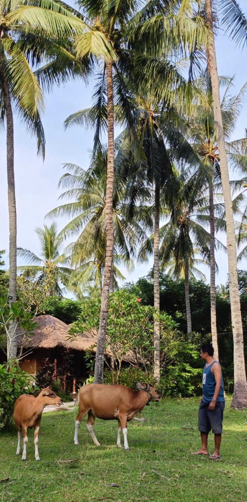 Lendang Eco Lodge Senggigi Exterior foto