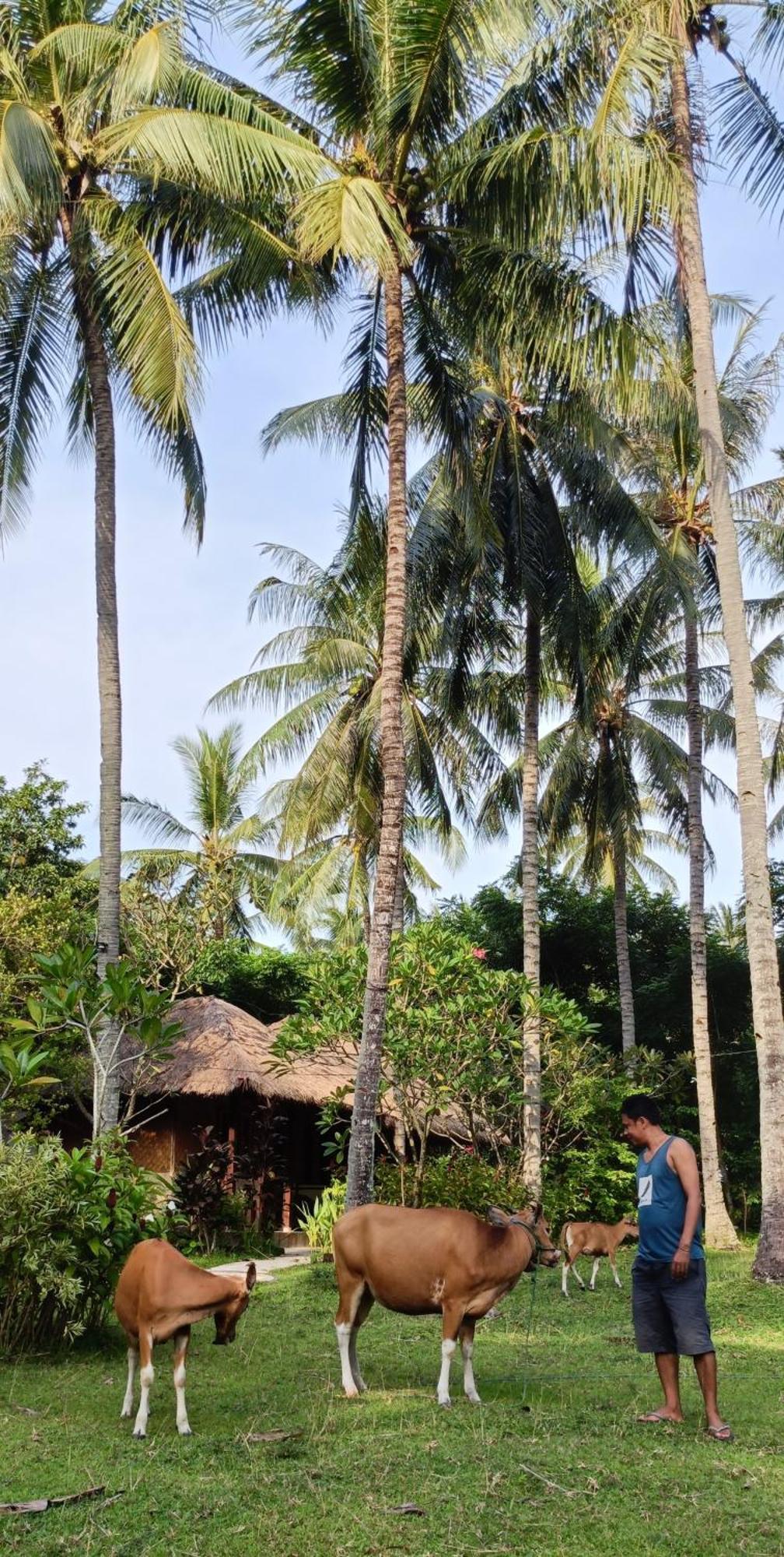 Lendang Eco Lodge Senggigi Exterior foto
